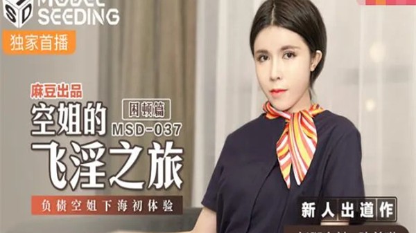 空姐的飞淫之旅