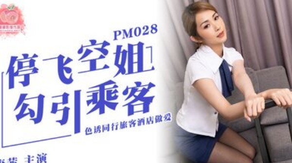 停飞空姐勾引乘客