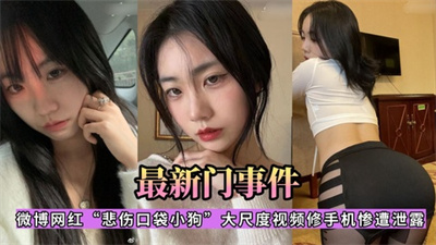 微博网红【悲伤口袋小狗】大尺度视频修手机惨遺泄露